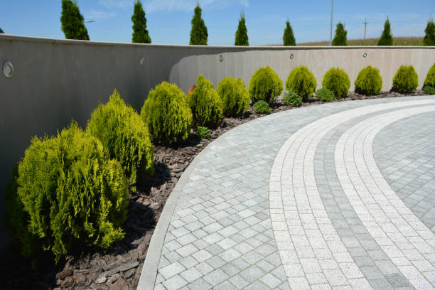 Best Concrete Paver Driveway  in Grand Marais, MN